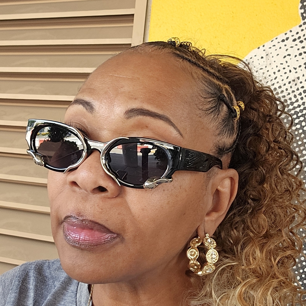 Chic Black Sunglasses - image 1